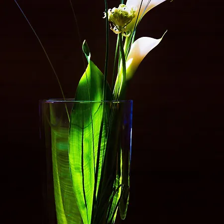 The Penz 4*